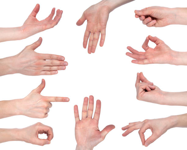 istock Empty male hand making gesture like holding something isolated on white background. Set of multiple Hand gestures 1206166852