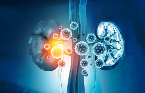 kidney disease concept - doença crónica ilustrações imagens e fotografias de stock