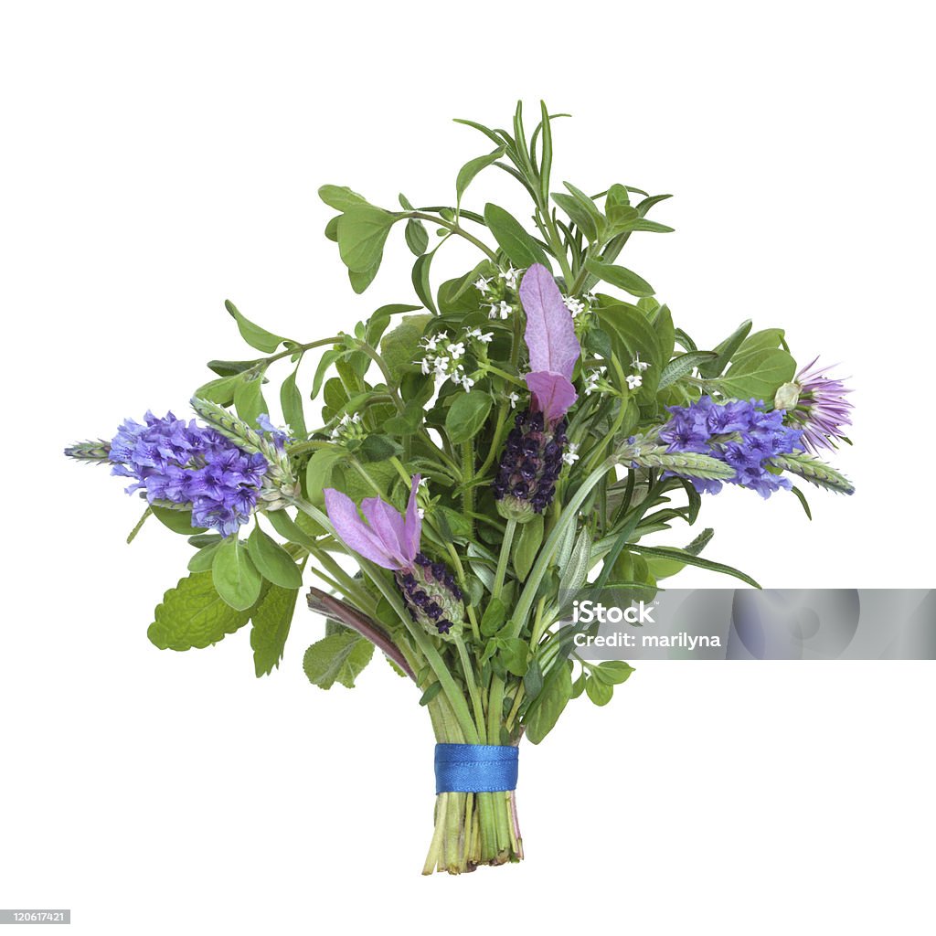 Herb Flower Posy Lavender, thyme and chive flowers with rosemary and lemon balm herb leaf sprigs tied in a posy isolated over white background. Bouquet Stock Photo