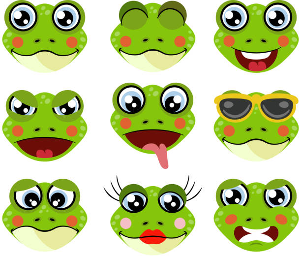 лица лягушек с различными выражениями - decorative feature stock illustrations