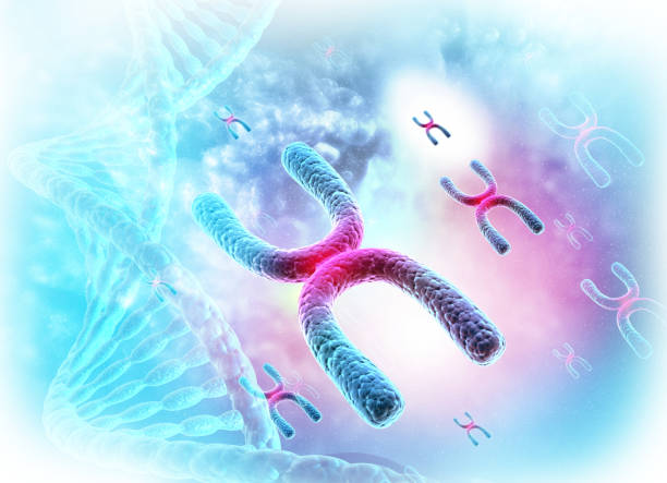 chromosomes - dna genetic research medicine therapy photos et images de collection