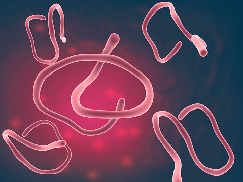 Ebola virus on scientific background. 3d illustration