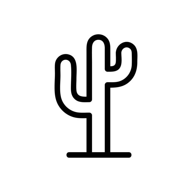 Cactus icon vector. Isolated contour symbol illustration Cactus icon vector. Thin line sign. Isolated contour symbol illustration cactus symbols stock illustrations