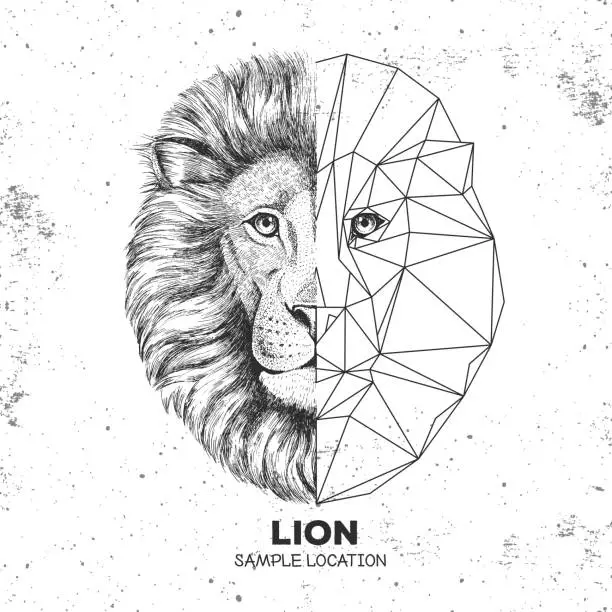 Vector illustration of Hipster animal realistic and polygonal lion face. Triangle animal