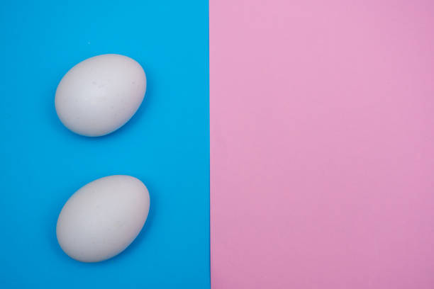 istock Two Easter holiday flat lay with white egg on a solid bright blue and pink pastel and vibrant background with copy space. 1206180728