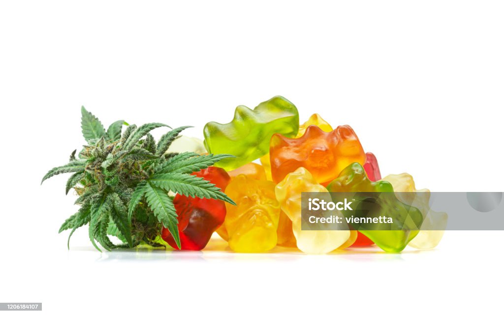 Gummy Bear Medical Marijuana Edibles (CBD or THC Candies) with Cannabis Bud Isolated on White Background A pile of gummy bears made with cannabis extract next to a fresh bud or hemp flower. These medical marijuana edibles contain CBD and THC and are isolated on a white background. Cannabis Plant Stock Photo