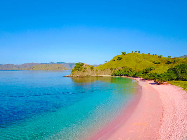 luftaufnahme des wunderschönen rosa strandes auf flores island. - labuanbajo stock-fotos und bilder