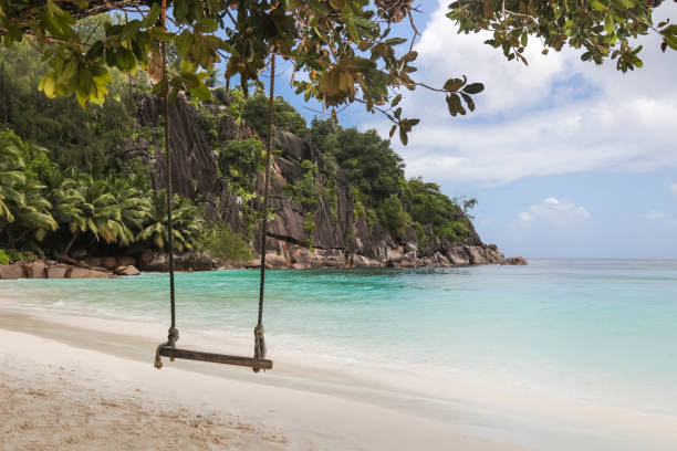 istock Swing at Seychelles Beach Lagoon 1206185832