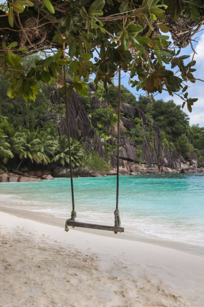 istock Swing at Seychelles Beach Lagoon 1206185896