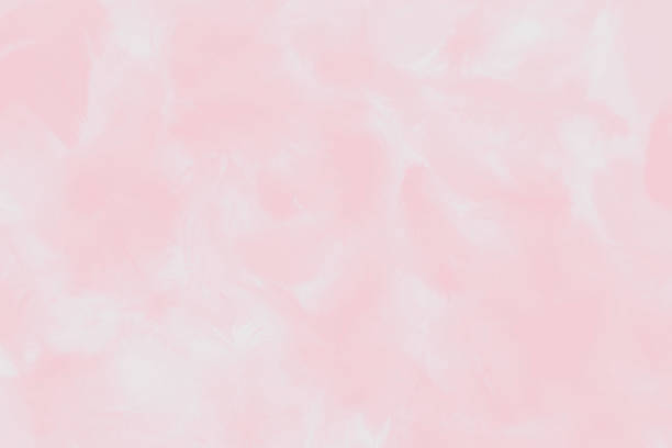 istock Beautiful abstract colorful white and pink feathers on white background and soft white feather texture on white pattern and light pink background valentine day 1206189915