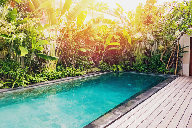 istock Empty swimming pool in luxury villa with tropic plants 1206190101