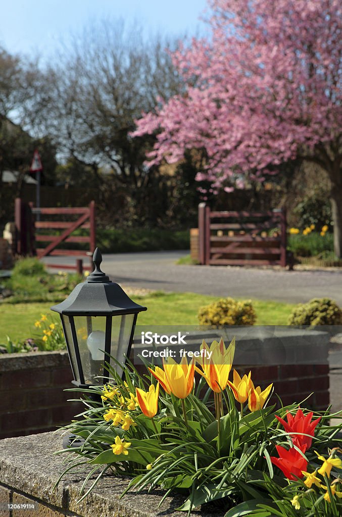 Pretty Colours of an English Country Garden in Spring Beautiful colourful English country garden in Spring with pretty flowers and blossom on the tree Blossom Stock Photo