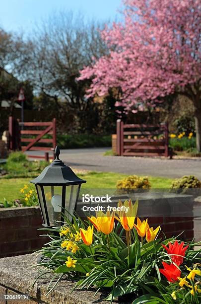 Pretty Colours Of An English Country Garden In Spring Stock Photo - Download Image Now