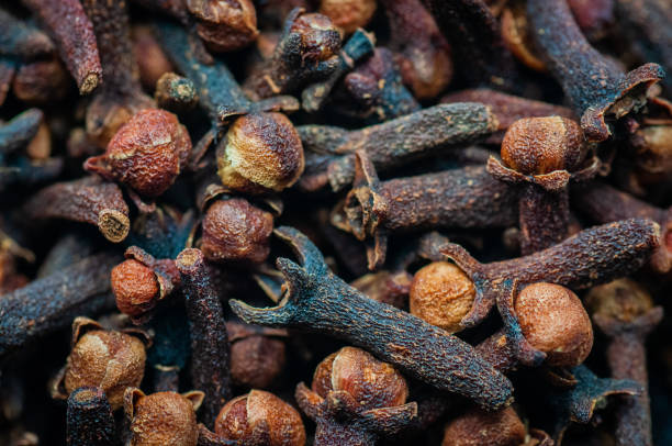 Cloves. Dry flavored clove seeds. Macro Photography. cloves stock pictures, royalty-free photos & images