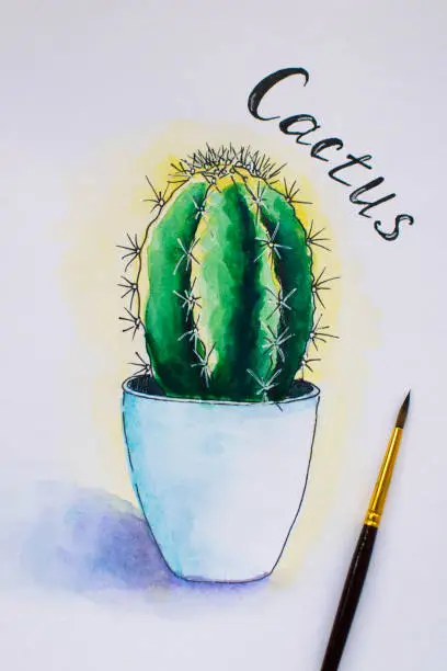 Photo of Watercolor handpainted cactus in pot. Watercolor sketch, illustration.