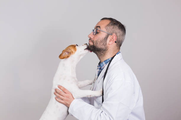 istock young veterinarian man examining a cute small dog by using stethoscope, isolated on white background. Indoors. Dog kissing the veterinarian. Dog licking the veterinarian 1206195651