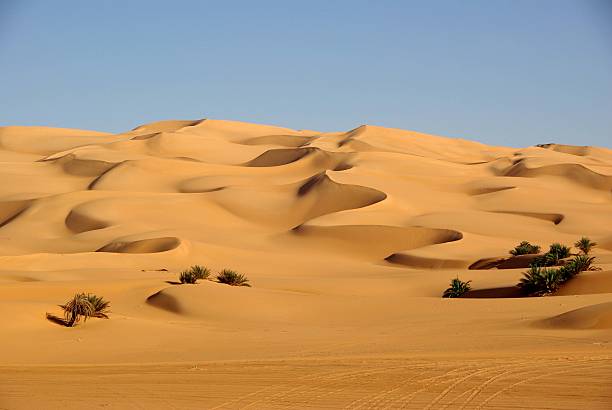 sanddünen, libyen - ubari stock-fotos und bilder