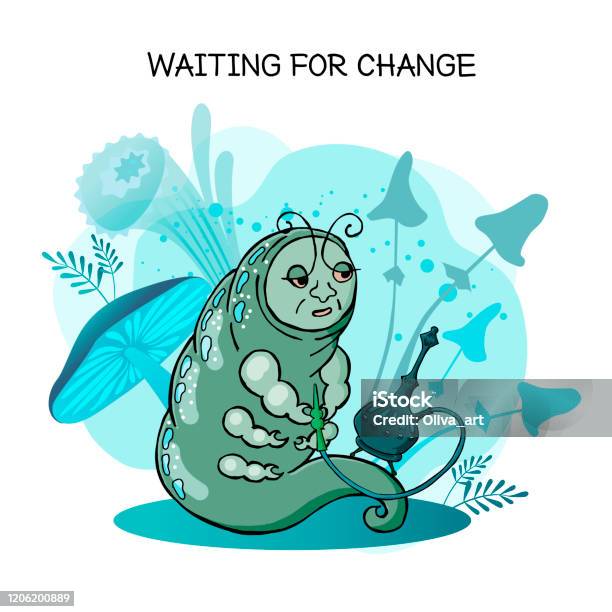 My Image 27