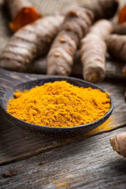 istock Curcuma longa, turmeric, rhizomes 1206206529