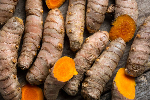 istock Curcuma longa, turmeric, rhizomes 1206206753
