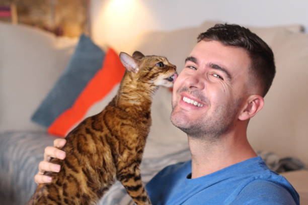istock Cat licking owners face at home 1206206793