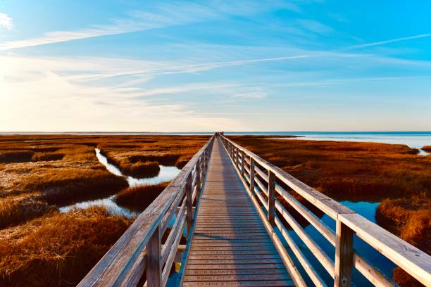 paseo marítimo de gray's beach - cape cod new england sea marsh fotografías e imágenes de stock