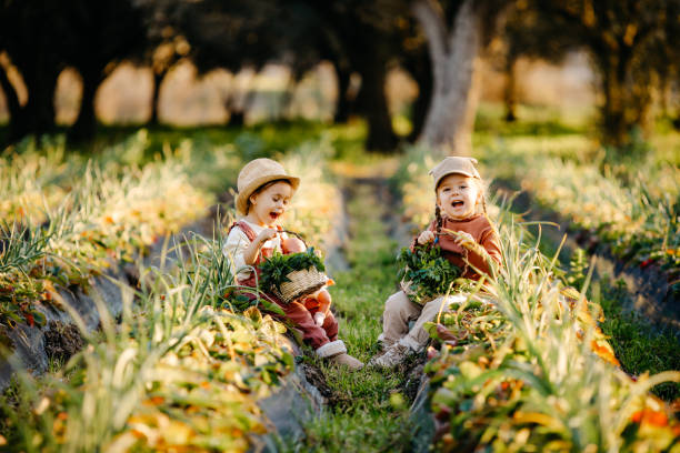 istock Two little girls picking strawberries 1206211023