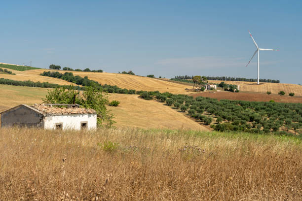 istock Rural landscape in Basilicata at summer 1206211786