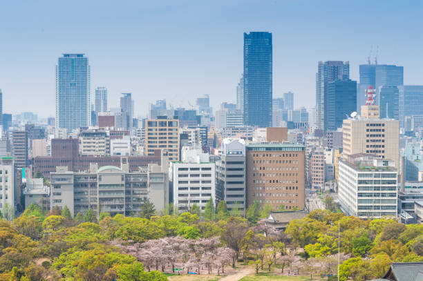 istock Panoramic aerial view sunny day near Osaka river with cherry blossoms, japan 1206215295