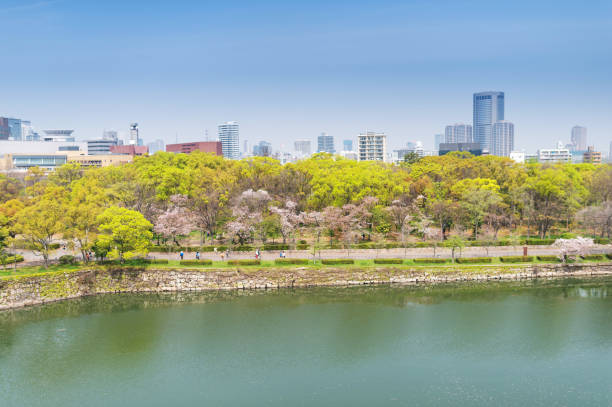 istock Panoramic aerial view sunny day Osaka river with cherry blossoms, japan 1206215388