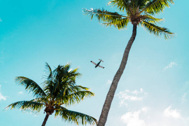 istock Private Plane Arriving in Florida on a Beautiful Summer Day 1206219484