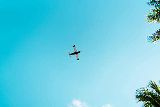 A small private propeller plane is about to land in Florida. It is flying past some palm trees, seen from below.