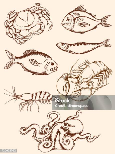 Mão Desenhada Ícones De Frutos Do Mar - Arte vetorial de stock e mais imagens de Caranguejo-das-neves - Caranguejo-das-neves, 1940-1949, Camarão - Marisco