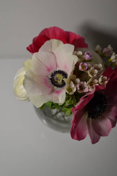 istock Pink and White Anemone Bouquet 1206223493