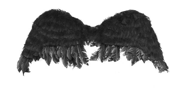 istock black angel wings isolated on white background 1206223764