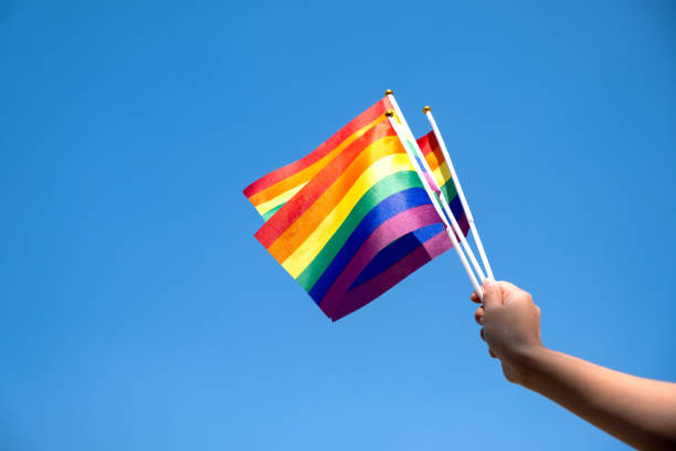 istock People holding and waving LGBT pride flags with sky background 1206225884