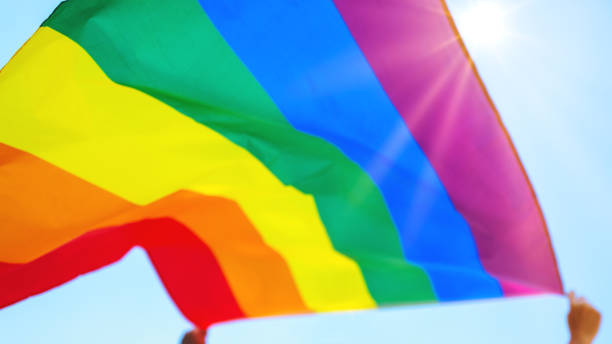 istock People holding and raising a rainbow flag over the sky 1206225921