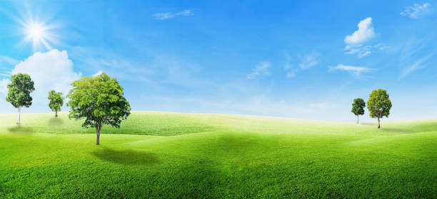 istock Green trees with grass natural meadow field and little hill. 1206233628