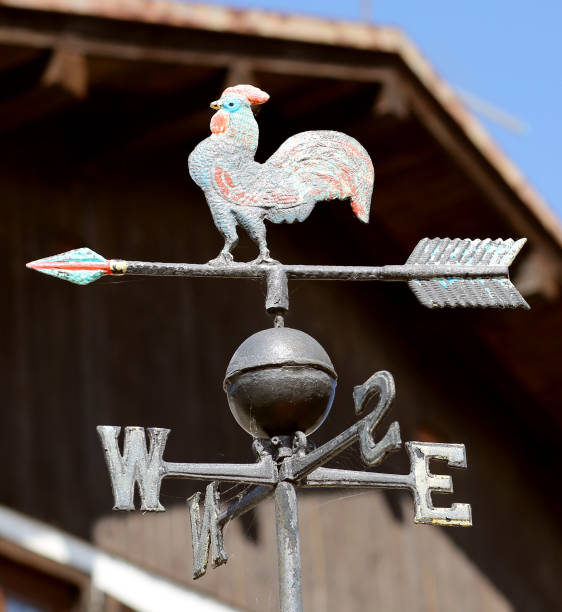 metal vane with a metal rooster indicating the cardinal points and the wind direction