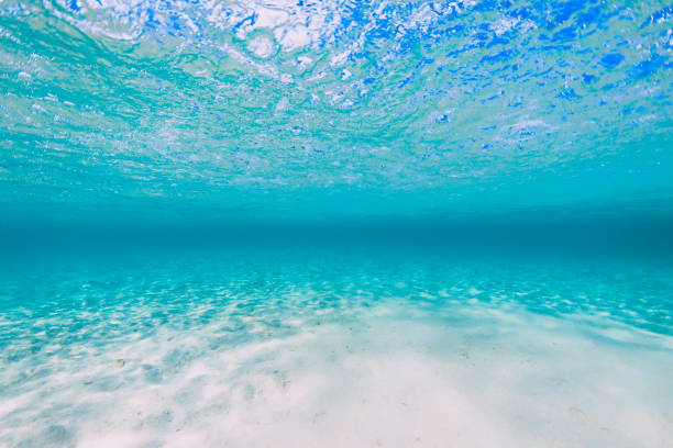 istock Tropical transparent ocean with sand bottom underwater in Hawaii 1206234237