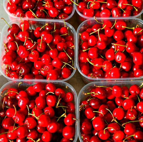 istock cherries just picked from trees for sale at the fruit and vegeta 1206234245
