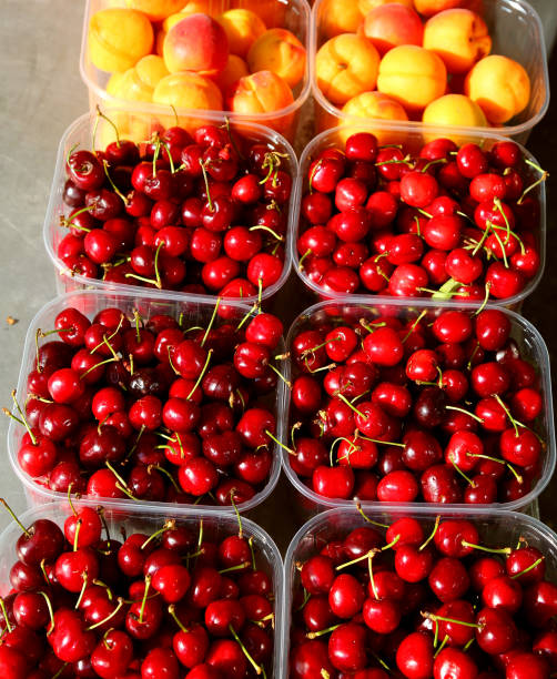 istock cherries and orange apricots freshly picked from the trees for s 1206234308