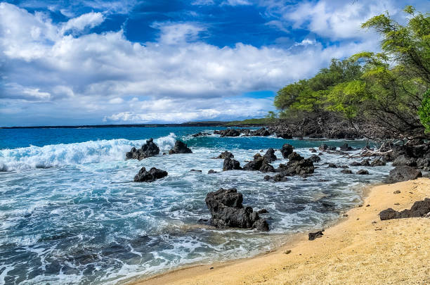 istock beach on the lava fields kings trail in maui, hawaii 1206236958