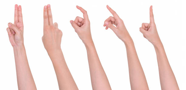 istock Woman hand hold gesture showing isolated on white background 1206237657