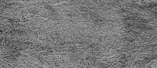 istock Abstract pattern formed by fibrous  threads of palm bark 1206238586