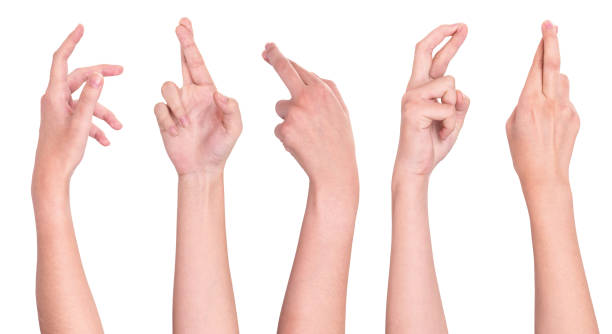 istock Set of people showing different gestures on white 1206239307