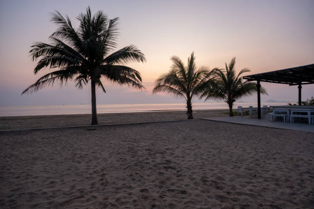 istock Sunset beach Thailand Chumphon area with palm trees 1206239491