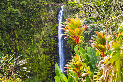 Landscape shot in hawaii