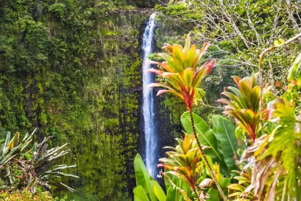 Landscape shot in hawaii