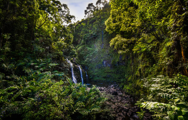 route de hana trois chutes d’ours - maui hawaii - three bears falls photos et images de collection